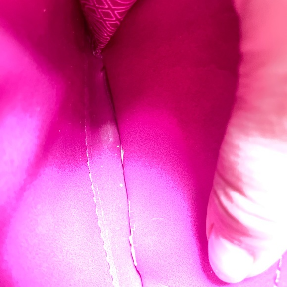 Stella & Dot Wallet - Picture 7 of 9